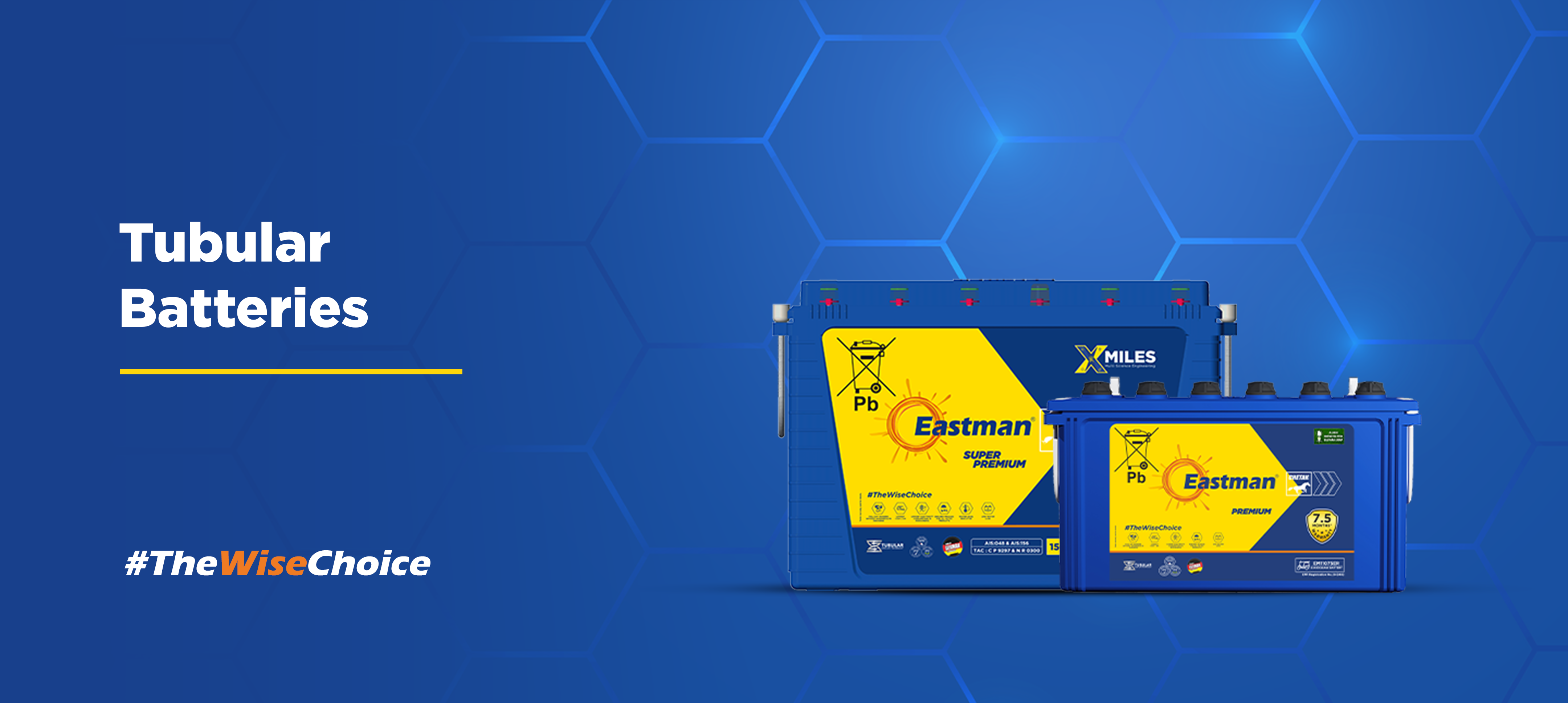 Eastman Tubular Batteries for E-Rickshaws